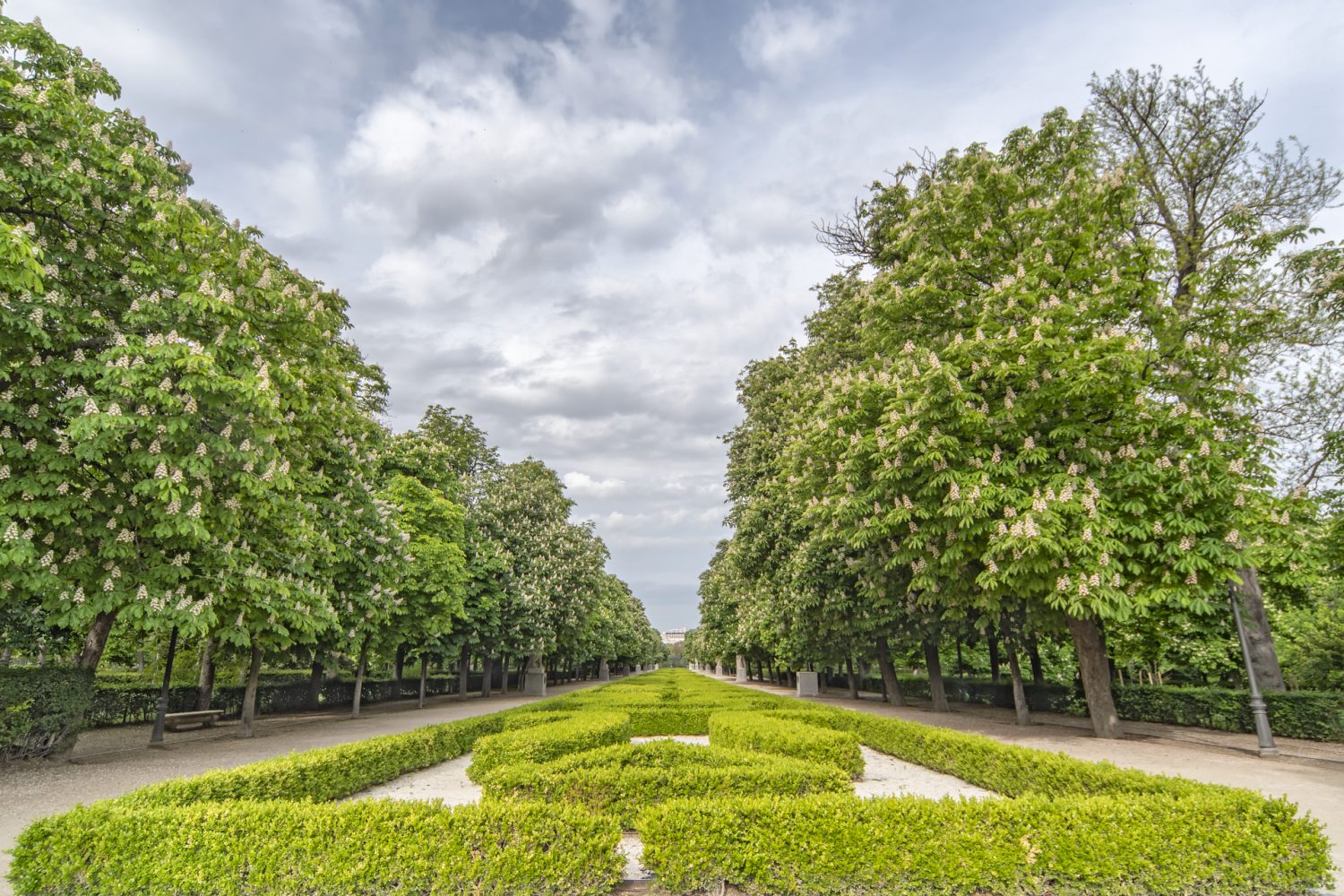 Arboleda del parque del Retiro &copy;Antonello Dellanotte